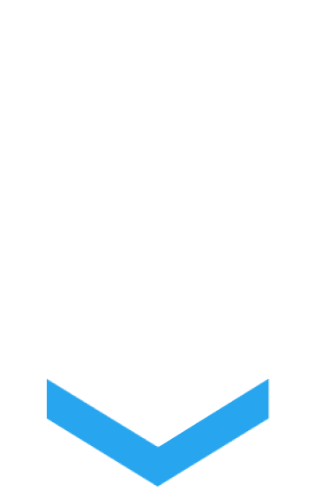 Blue Guardian Logo
